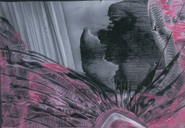 Jana �KOLAUDYOV� - encaustic