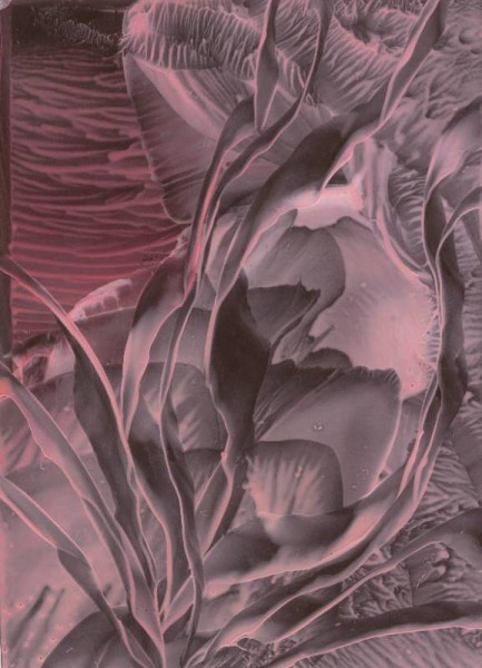 Jana �KOLAUDYOV� - encaustic