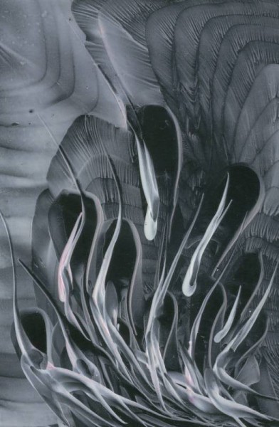 Jana �KOLAUDYOV� - encaustic