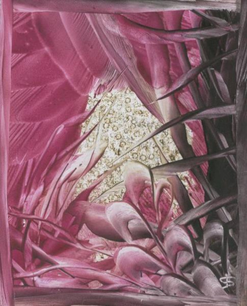 Jana �KOLAUDYOV� - encaustic