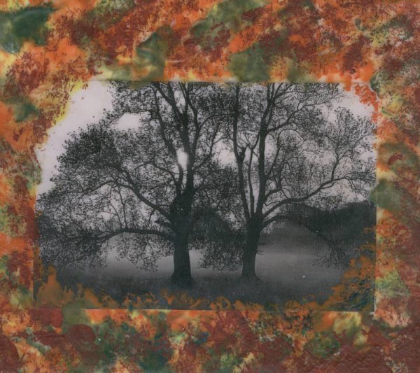 Jana �KOLAUDYOV� - encaustic