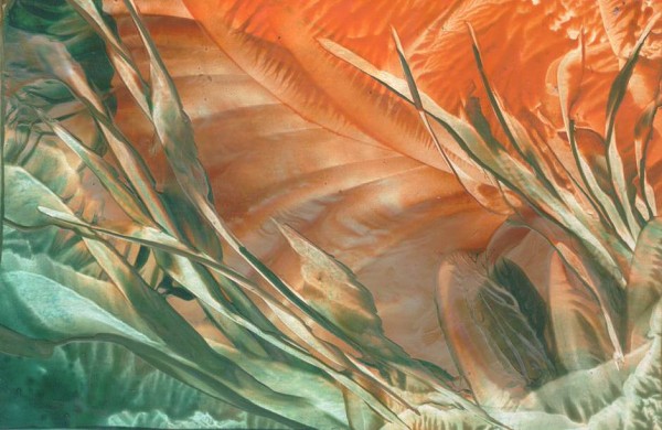 Jana �KOLAUDYOV� - encaustic