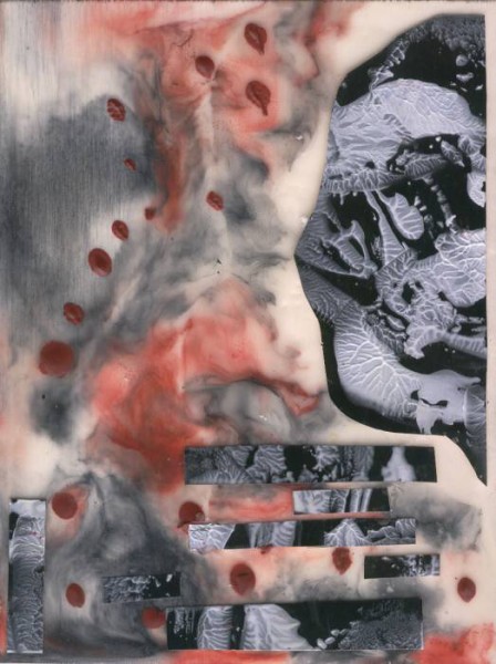 Jana �KOLAUDYOV� - Encaustika