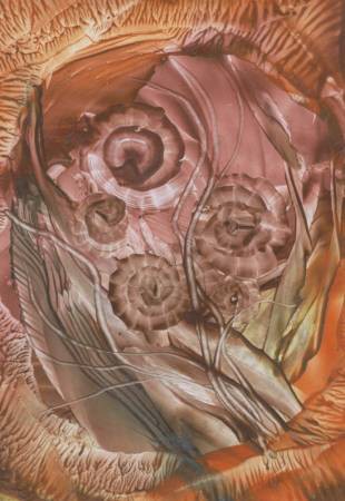 Jana �KOLAUDUOV� - encaustika