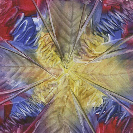 Jana �KOLAUDYOV� - Encaustika