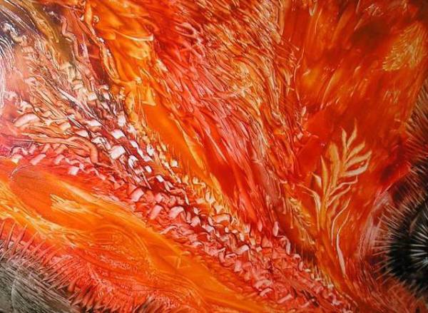 Jana �KOLAUDYOV� - Encaustika