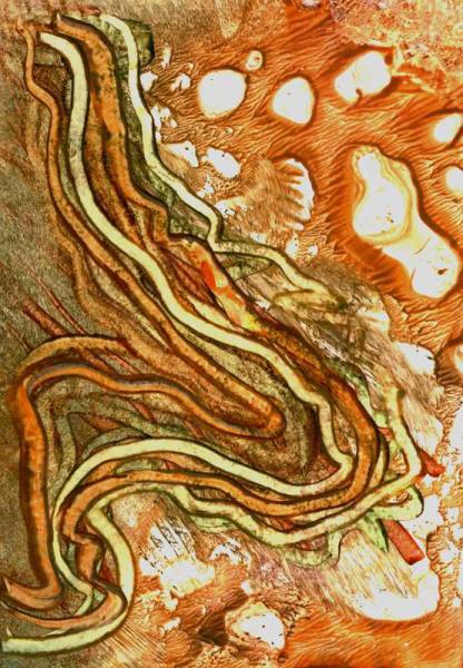 Jana �KOLAUDYOV� - Encaustika